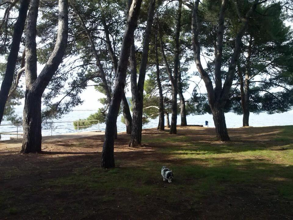 Apartment Jozefina Porec Luaran gambar